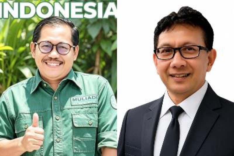 Gambar Artikel