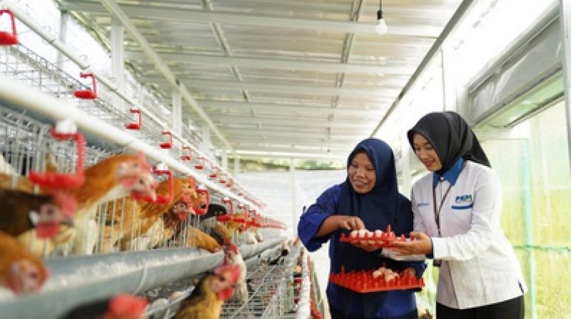 Gambar Artikel